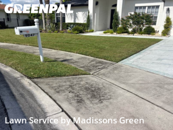Backyard Mowing in Lake Worth, 33467, Lawn Services by Madissons Green, work completed in Oct , 2025