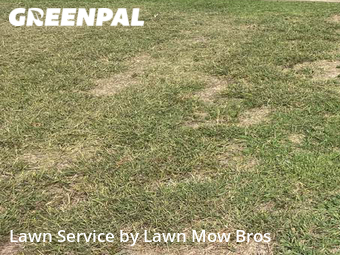 Yard Mowing nearby Watauga, TX, 