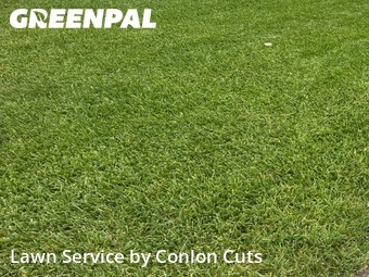 Grass Cutting nearby Palmetto, FL, 