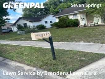 Yard Mowing nearby New Port Richey, FL, 