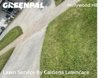 Landscaping Renovation In Hollywood,33021,Landscaping by Caidens Lawncare , work completed in Dec , 2025