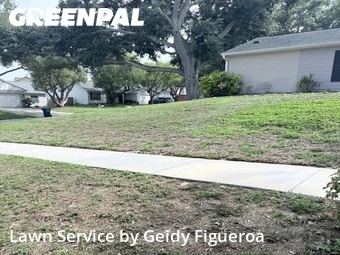 Lawn Mowin Palm Harbor,34684,Lawn Cutting by Geidy Figueroa, work completed in Jun , 2026