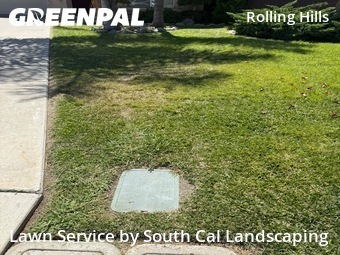 Work completed by local-landscaping-services-in-Chula Vista-CA