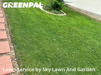 Grass Cutting nearby San Antonio, TX, 