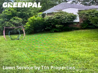 Yard Cutting nearby Zionsville, IN, 