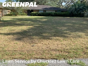 Yard Cutting nearby Fruit Cove, FL, 