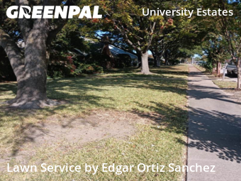 Lawn Service nearby Plano, TX, 