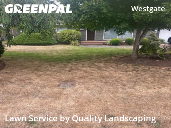 Grass Services in Edmonds, 98020, Yard Services by Quality Landscaping, work completed in Nov , 2025