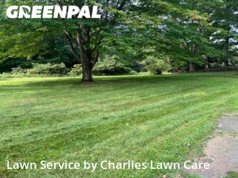 Yard Mowing nearby Jackson, MI, 