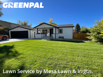 Grass Cutting nearby Englewood, CO, 