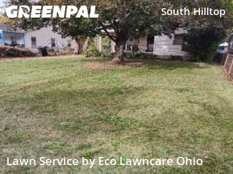 Grass Cut nearby Columbus, OH, 