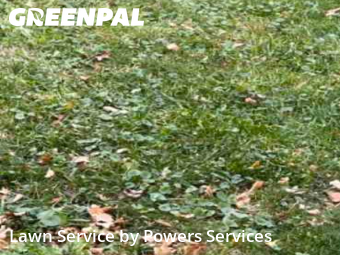 Yard Care in Northglenn, 80233, Lawn Cutting by Powers Services, work completed in Dec , 2025