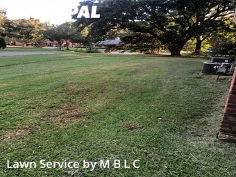 Lawn Mowing Service nearby Lafayette, LA, 