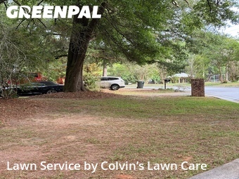 Grass Cut nearby Daphne, AL, 