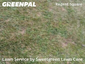 Lawn Service nearby Pittsburgh, PA, 