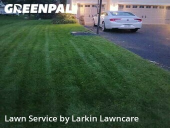 Lawn Cutting nearby Minneapolis, MN, 