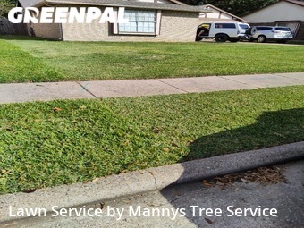 Grass Cutting nearby League City, TX, 