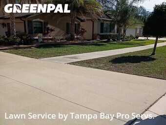Lawn Cut nearby Riverview, FL, 