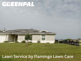 Yard Cutting nearby Punta Gorda, FL, 