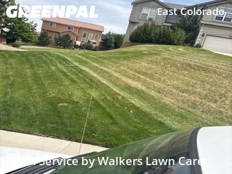 Yard Cutting nearby Colorado Springs, CO, 