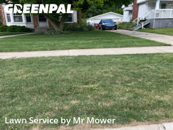 Grass Cutting nearby Eastpointe, MI, 