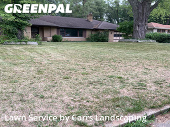 Lawn Maintenance in Elkhart, 46514, Weed Trimming by Carrs Landscaping Llc, work completed in Nov , 2025