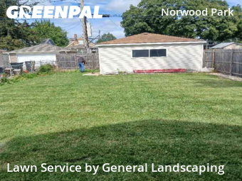 Lawn Cutting nearby Chicago, IL, 