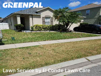 Grass Cutting nearby Kissimmee, FL, 