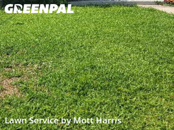 Yard Cutting in Hallandale Beach, 33009, Grass Cutting by Mott Harris, work completed in Nov , 2025