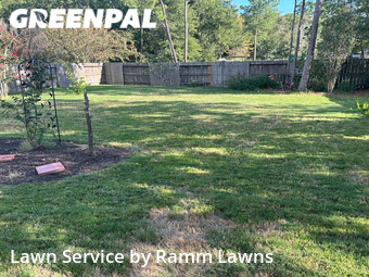 Lawn Care nearby Conroe, TX, 