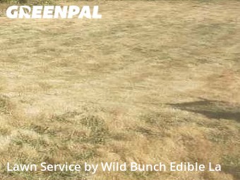 Grass Cutting nearby Lacey, WA, 