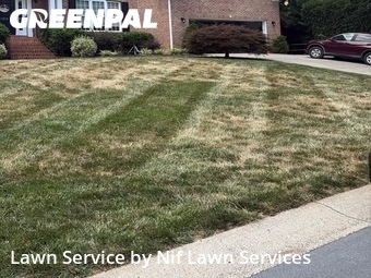 Grass Cut nearby Huntersville, NC, 