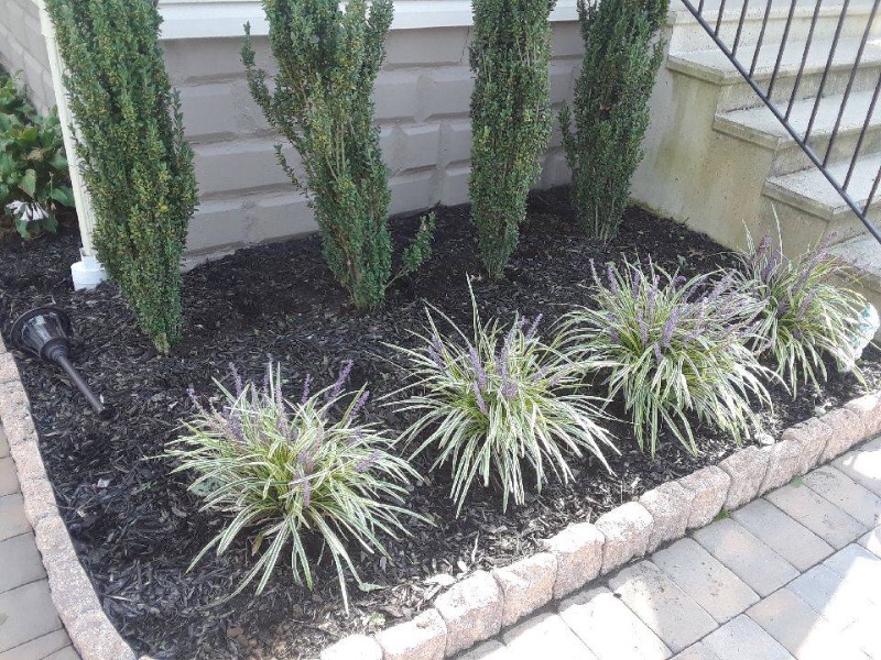 Power Scapes Llc Lawn Care Services in Glassboro, NJ