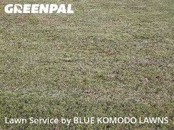 Lawn Mowing nearby Cumming, GA, 