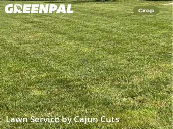Grass Cut nearby Murfreesboro, TN, 
