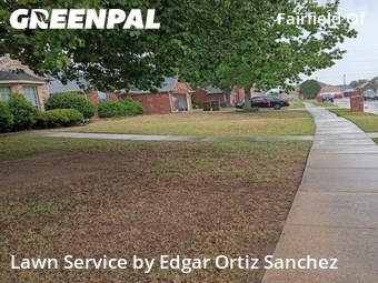 Lawn Mowing Service nearby Plano, TX, 