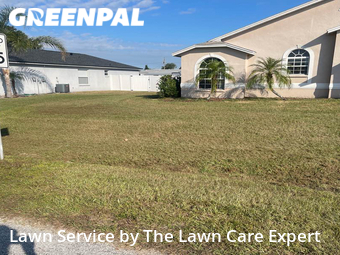 Lawn Care nearby Mulberry, FL, 