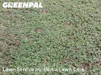 Lawn Mow nearby Boca Raton, FL, 