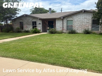 Lawn Maintenancein The Colony,75056,Grass Cutting by Alfas Landscaping, work completed in Jun , 2026
