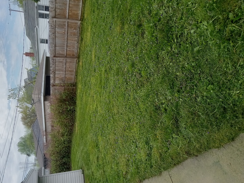 Work Image 6