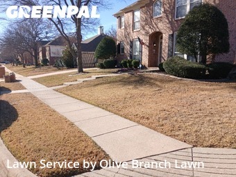 Lawn Cuttingin Keller,76248,Lawn Care by Olive Branch Lawn, work completed in Feb , 2026