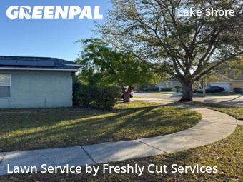 Lawn Cut nearby Seffner, FL, 