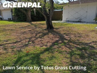 Lawn Mow nearby Winter Park, FL, 