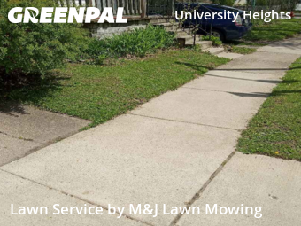 Grass Cut nearby Buffalo, NY, 