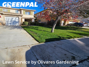 Commercial Landscaping In Palmdale,93551,Landscape Design by Olivares Gardening , work completed in Dec , 2025