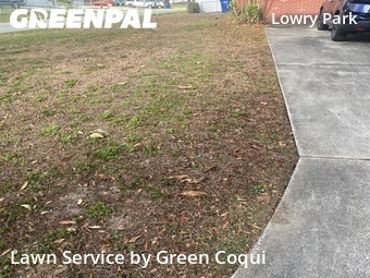 Lawn Mowing Service nearby Tampa, FL, 