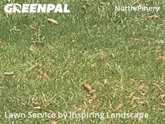 Yard Cuttingin Parker,80134,Lawn Cut by Inspiring Landscape, work completed in Nov , 2025