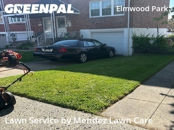 Grass Cut nearby Philadelphia, PA, 