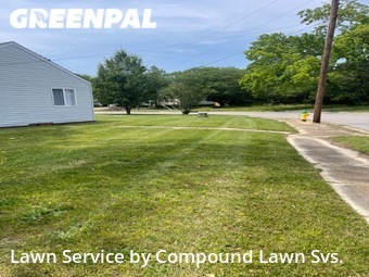 Lawn Mow nearby Norfolk, VA, 