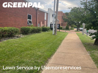 Lawn Cutting nearby St. Louis, MO, 